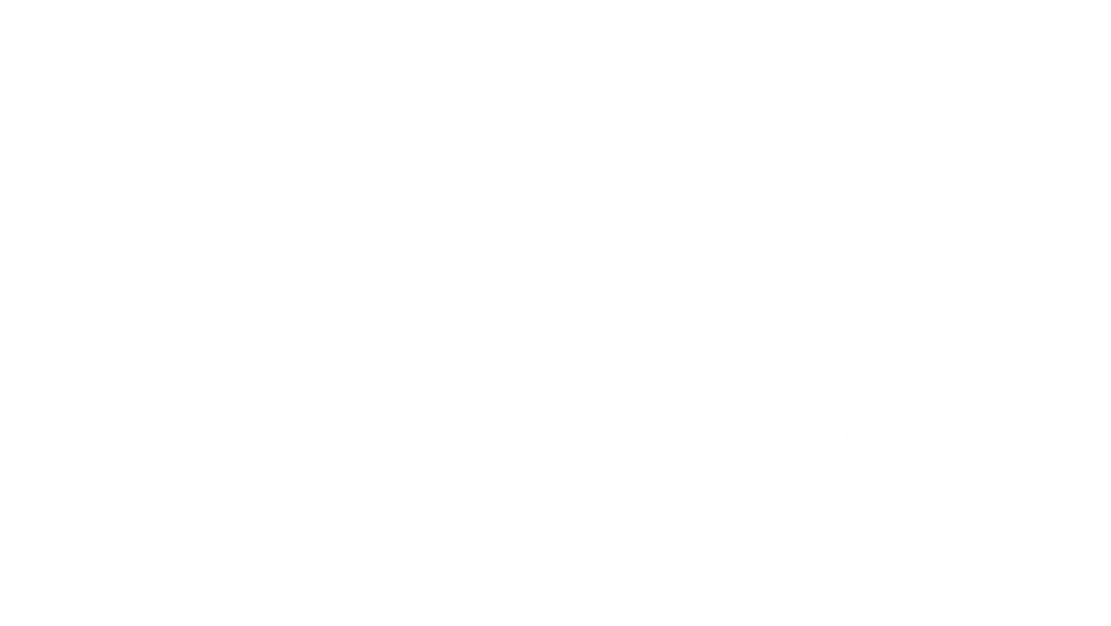 Meeple Shirts Logo White