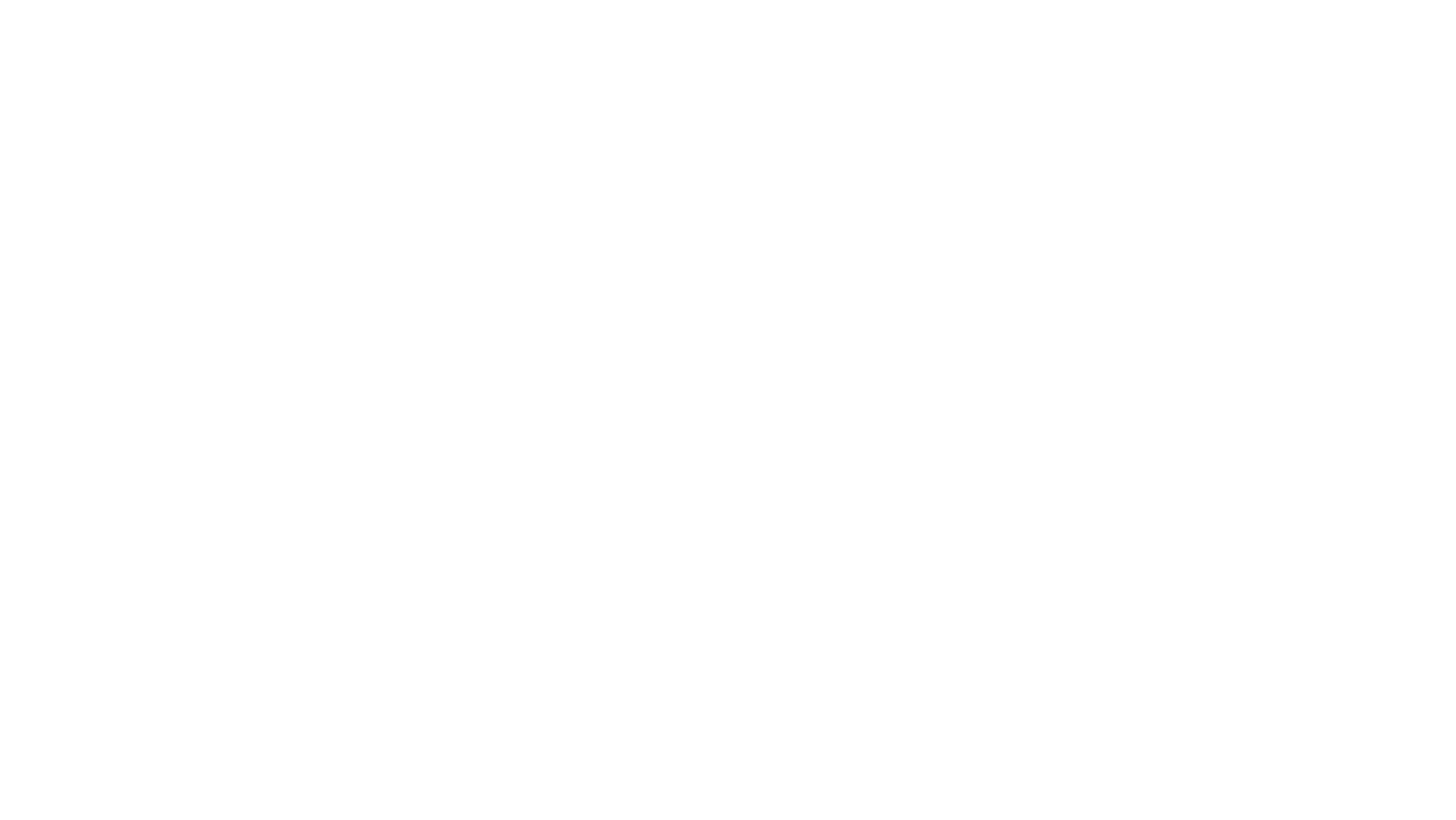 Meeple Shirts Logo White
